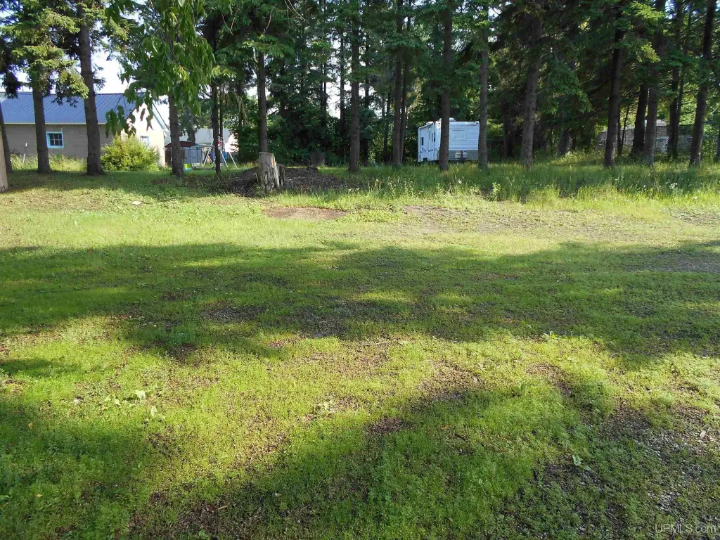Picture 19