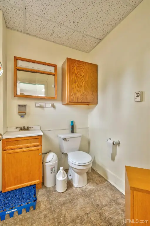 Picture 19