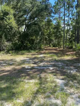 Half-Acre Lot in Nature Setting