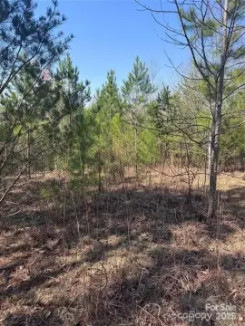 Residential Land in Gated Community