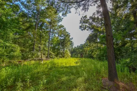Unimproved Land Near Lake Palestine