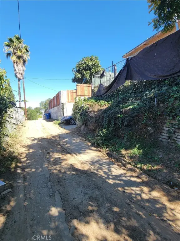 Picture 5