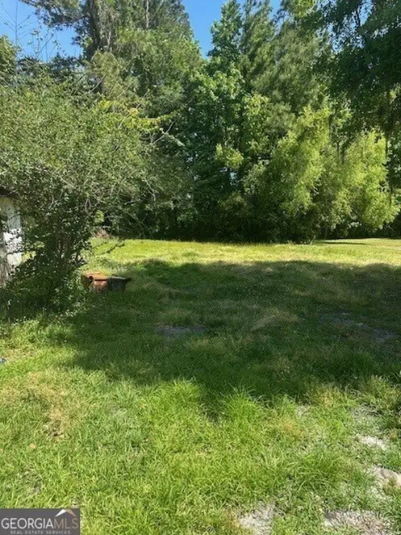 Picture 4