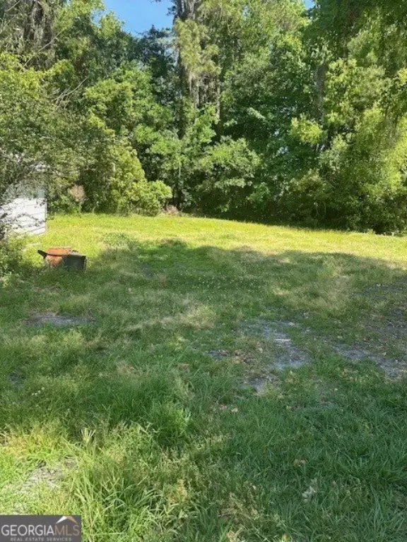 Picture 5
