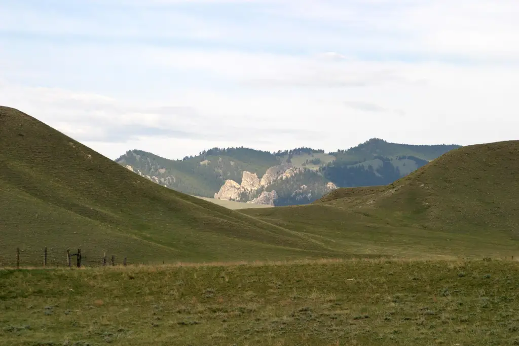 Picture 22