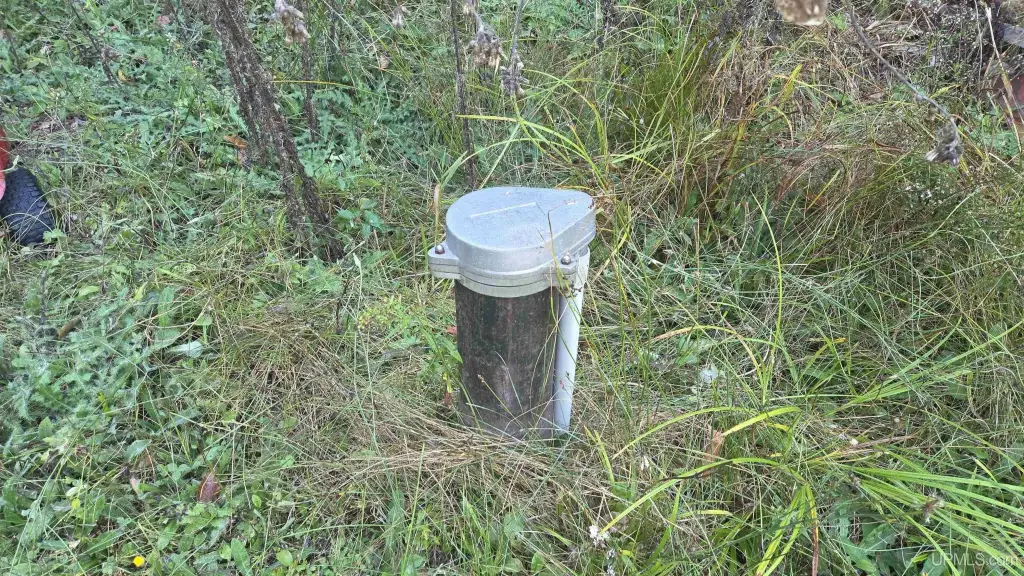 Picture 11