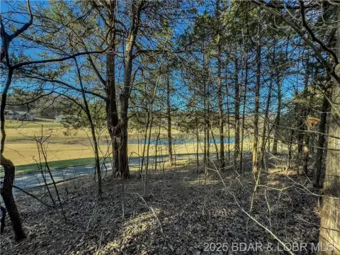 Golf Course View Homesite