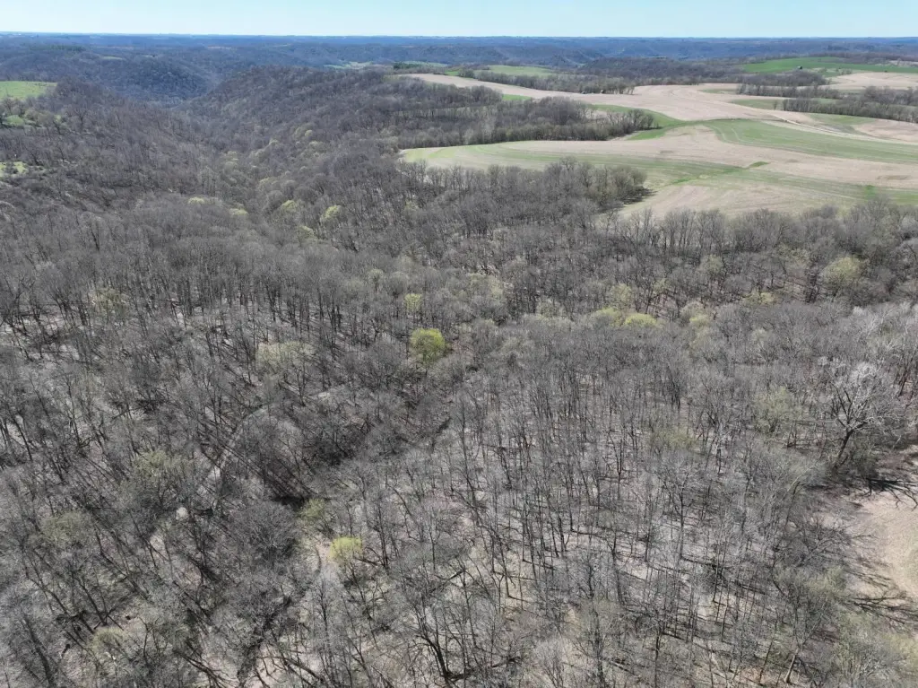 Picture 41