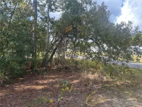 Citrus Springs Corner Parcel