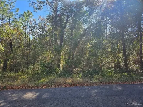 Lecanto Wooded Lot For Sale