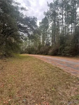 Citrus Springs Vacant Building Lot