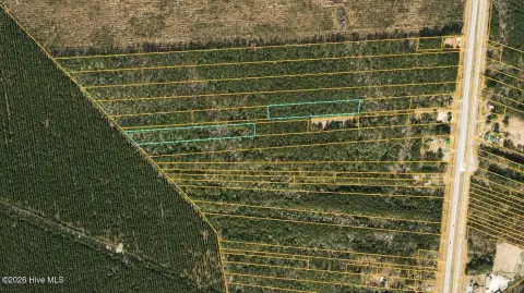 Undeveloped Wooded Land For Sale