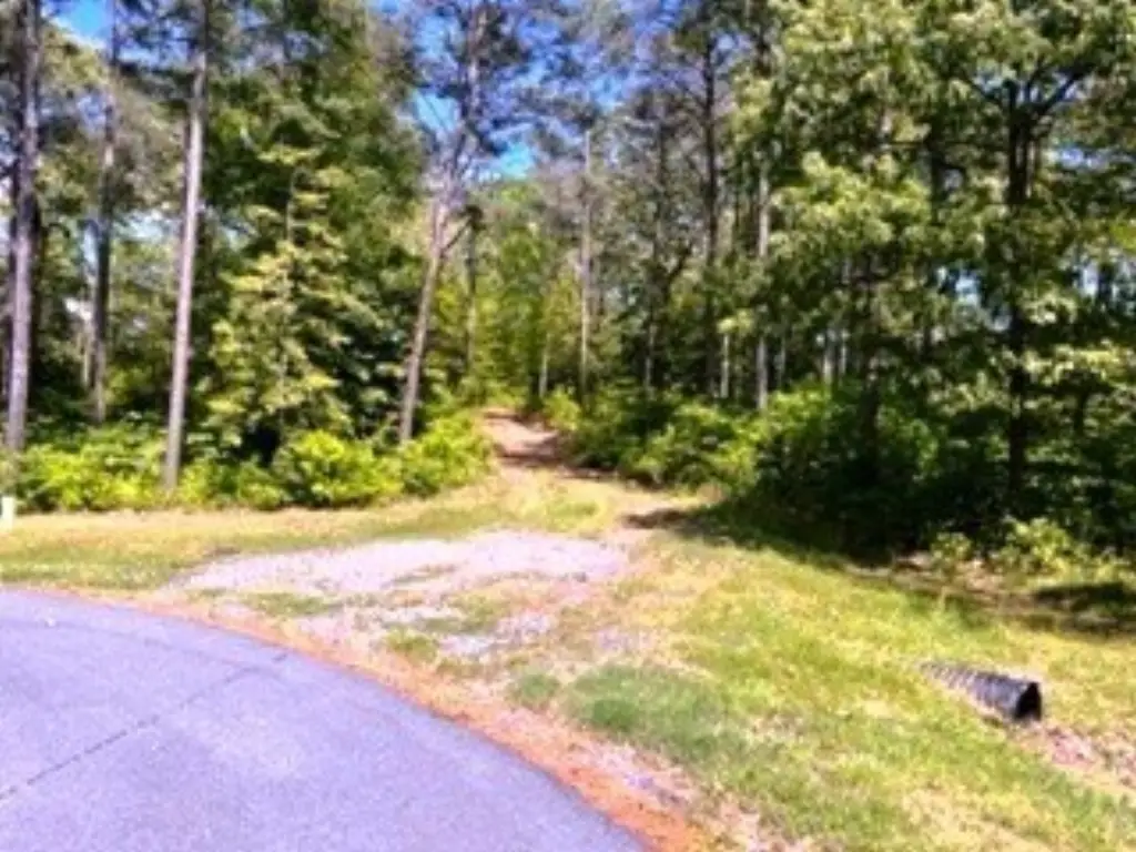 Picture 13