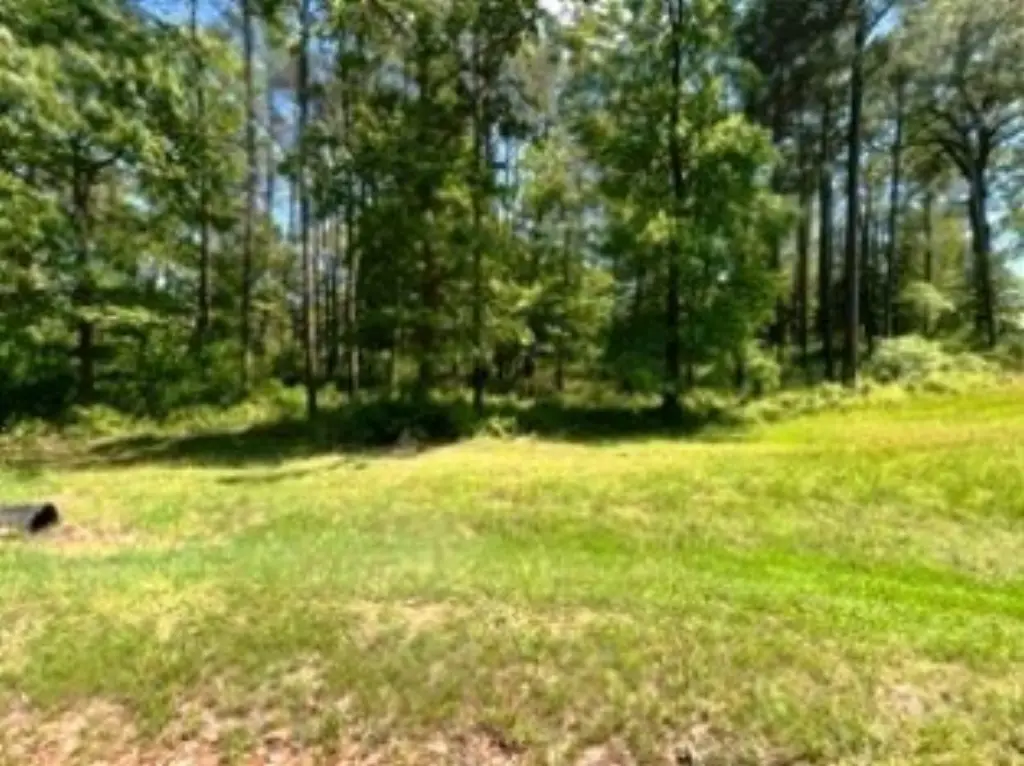 Picture 12