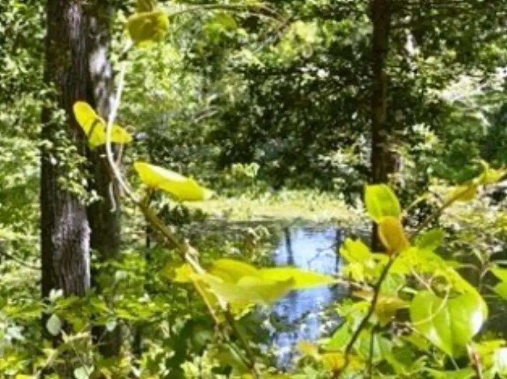 Picture 7