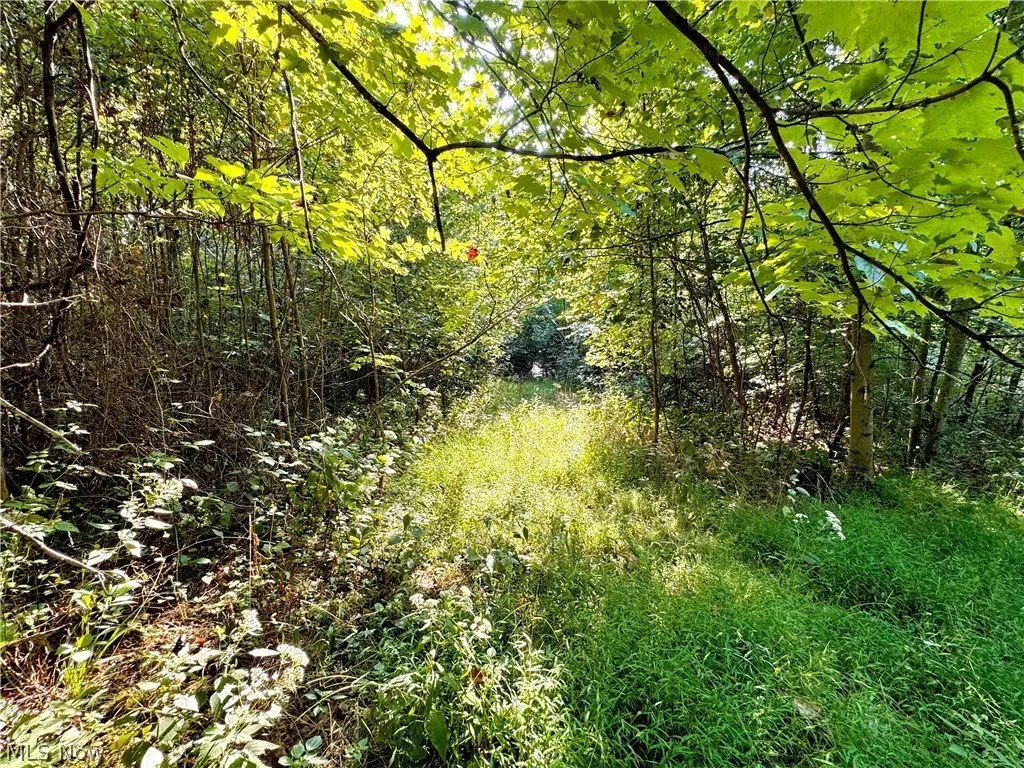 Picture 47