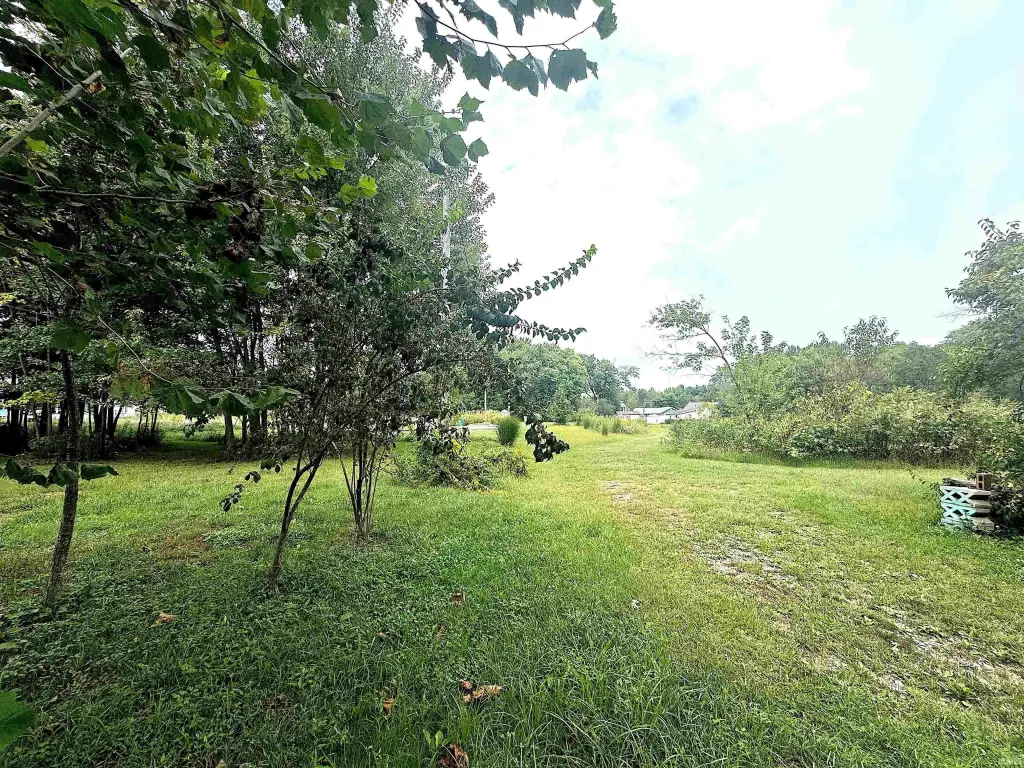 Picture 13