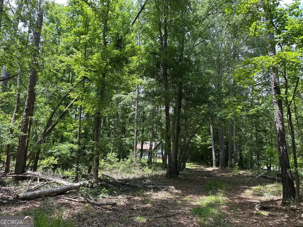 Picture 16