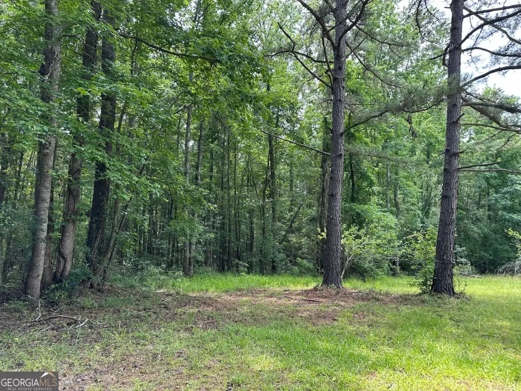 Picture 18