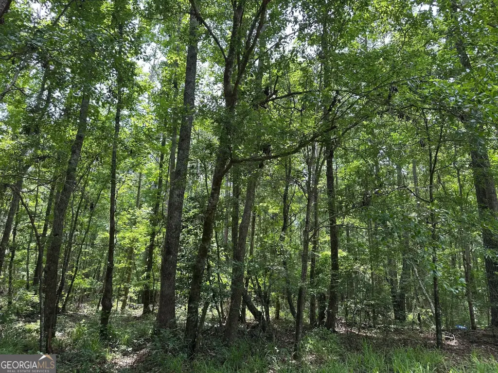 Picture 29