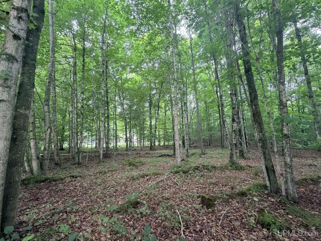Picture 6
