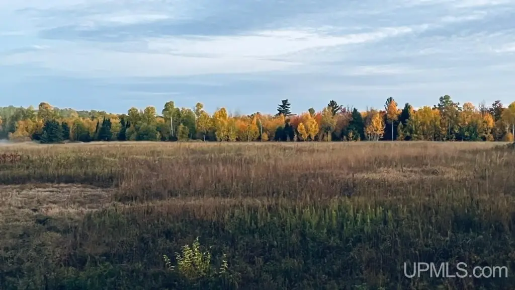 Picture 29