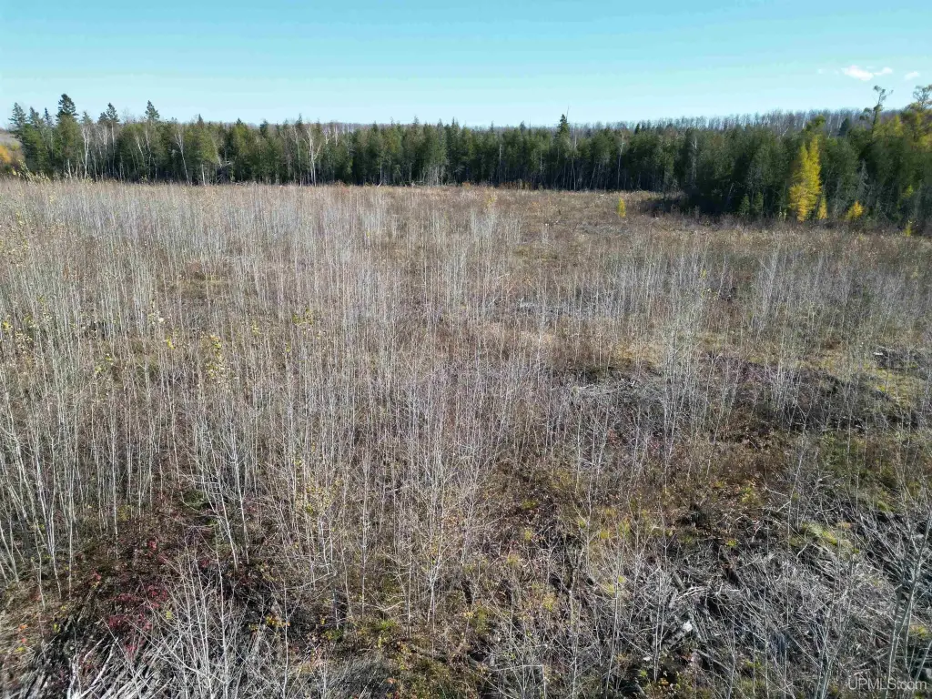 Picture 22