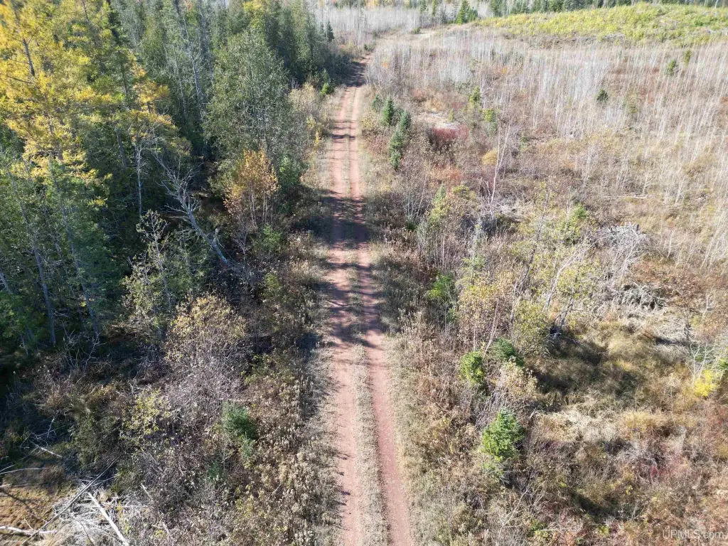 Picture 25