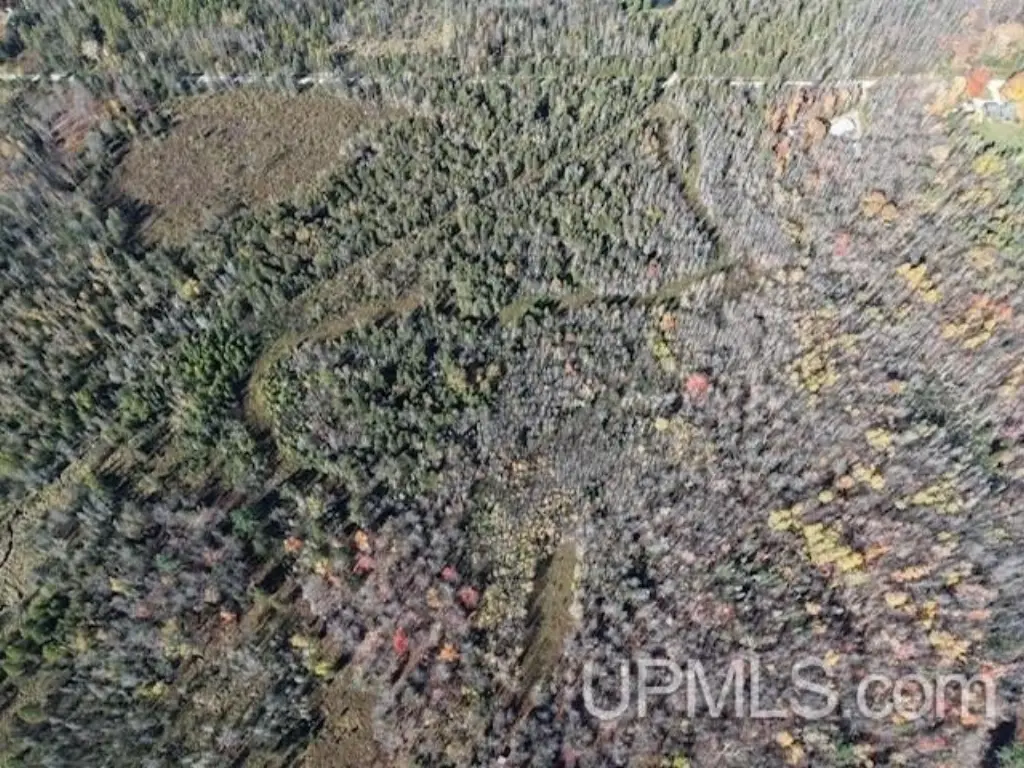 Picture 3