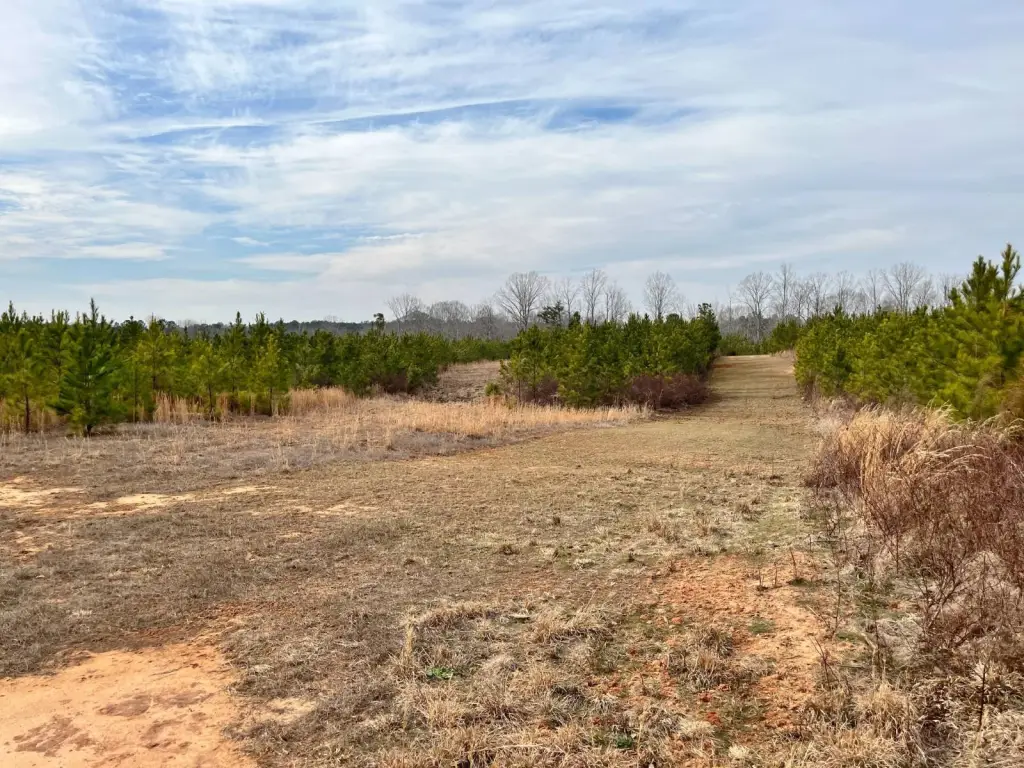 Picture 14