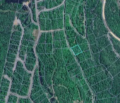 Vacant Land in Davis, WV