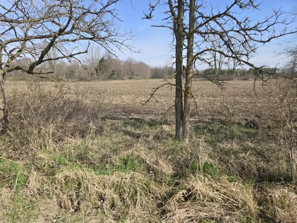 Picture 6