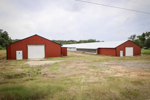 Poultry Breeder Farm With Generator