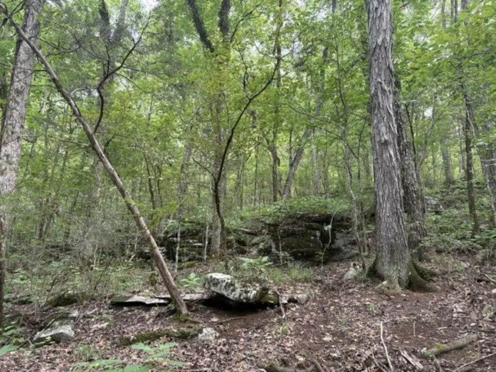 Picture 10