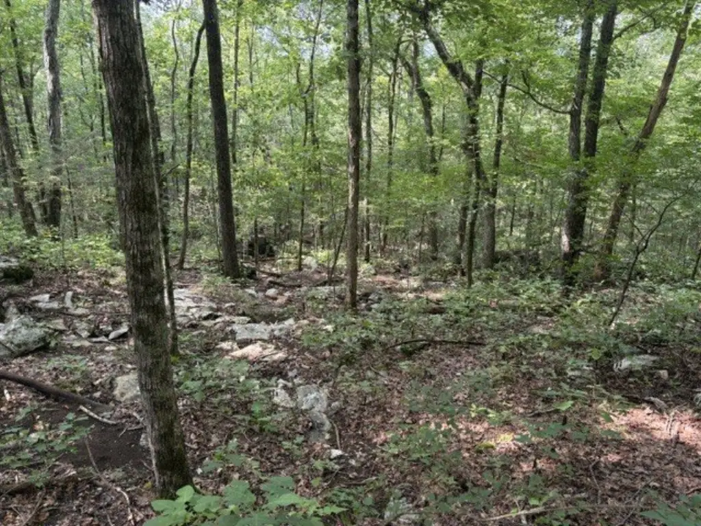 Picture 6