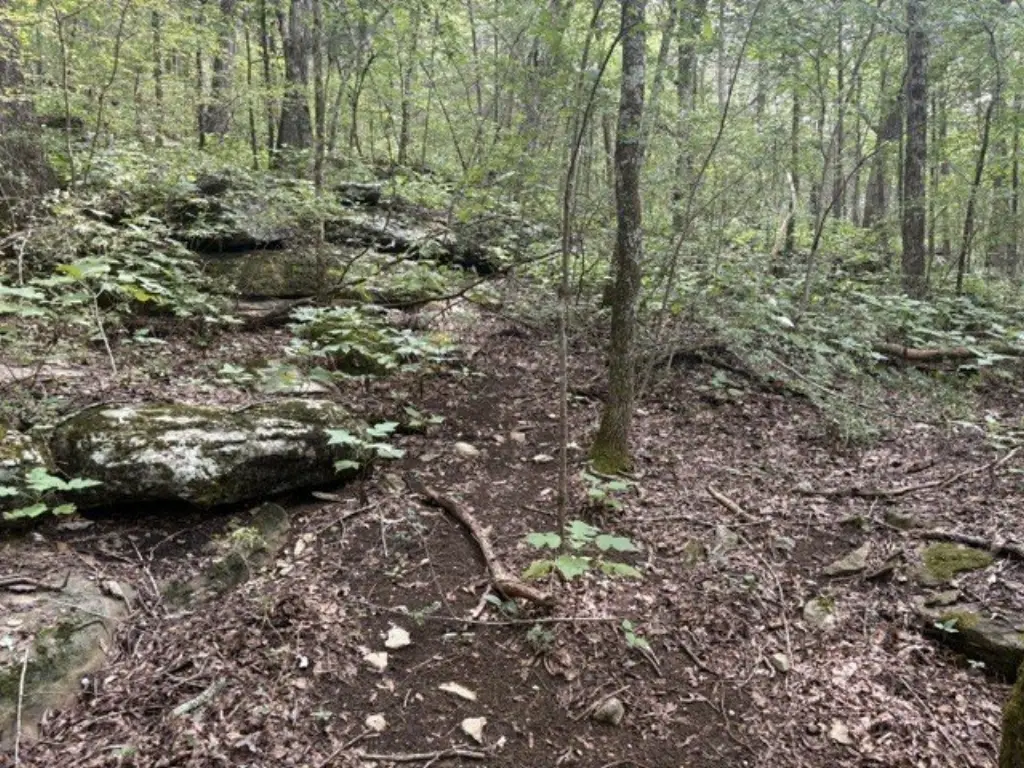 Picture 18