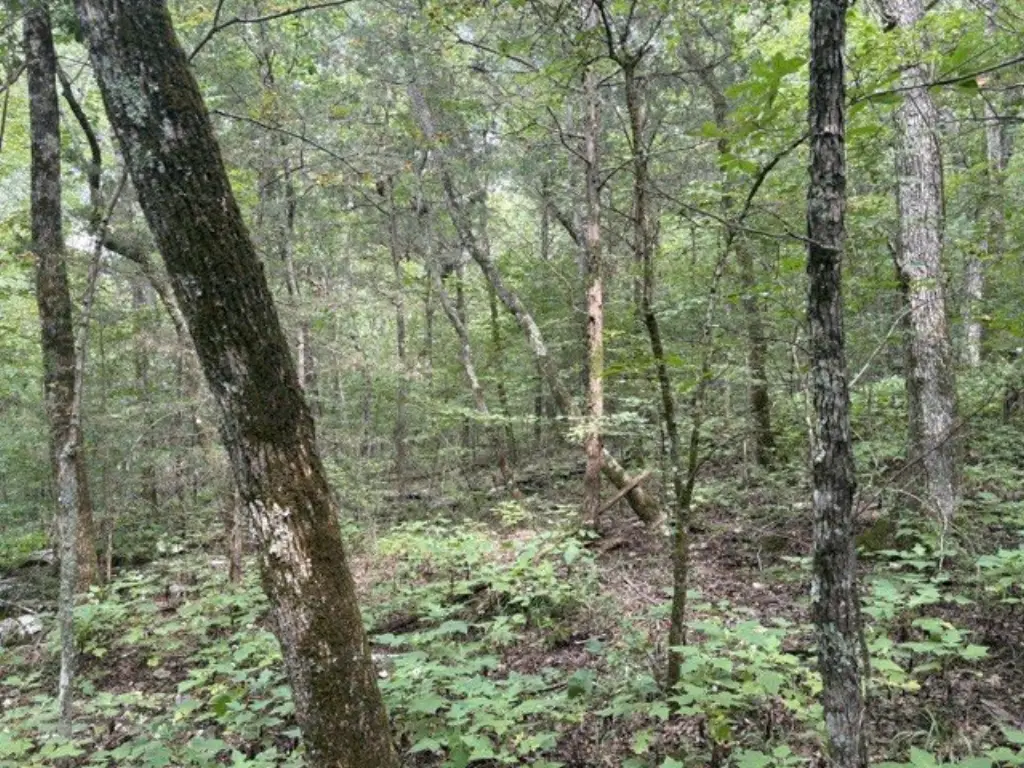 Picture 16