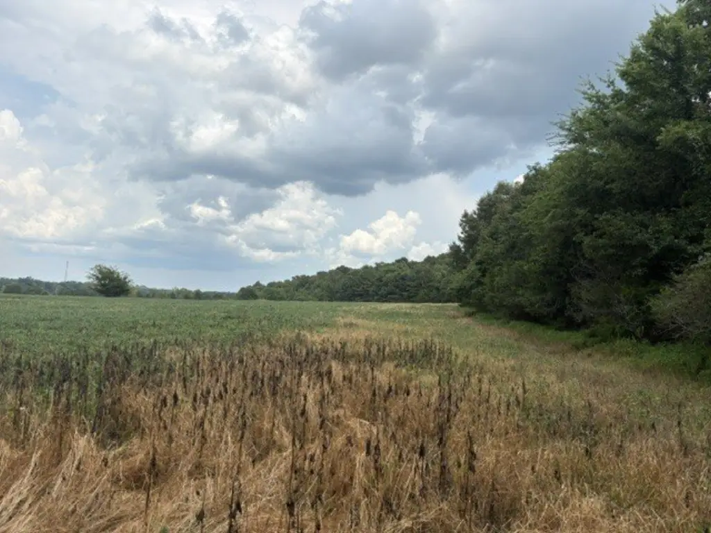 Picture 13