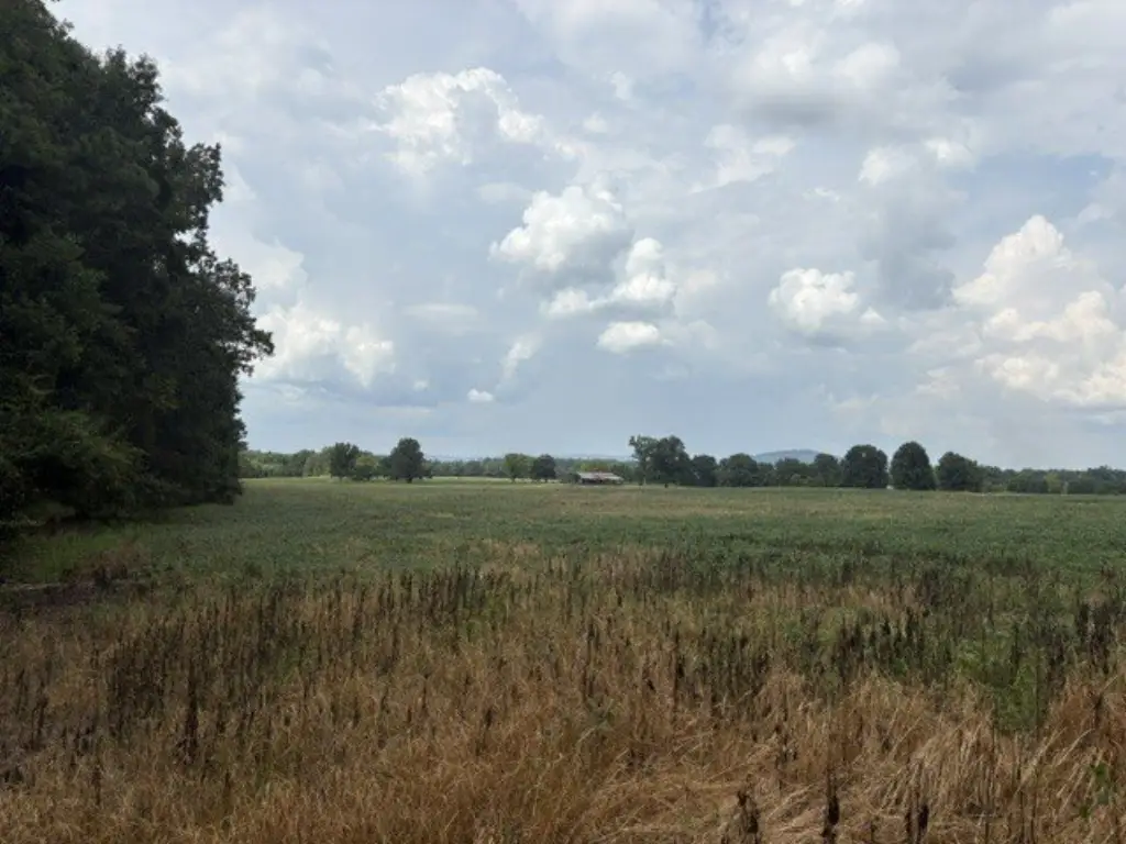 Picture 17