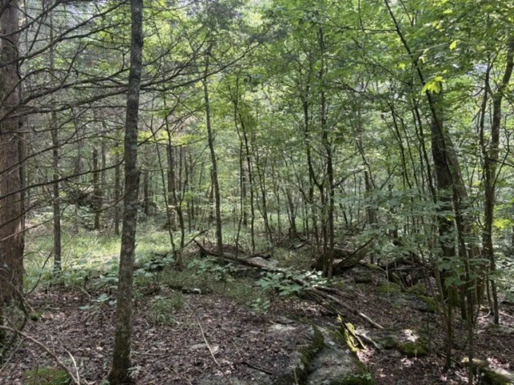 Picture 27