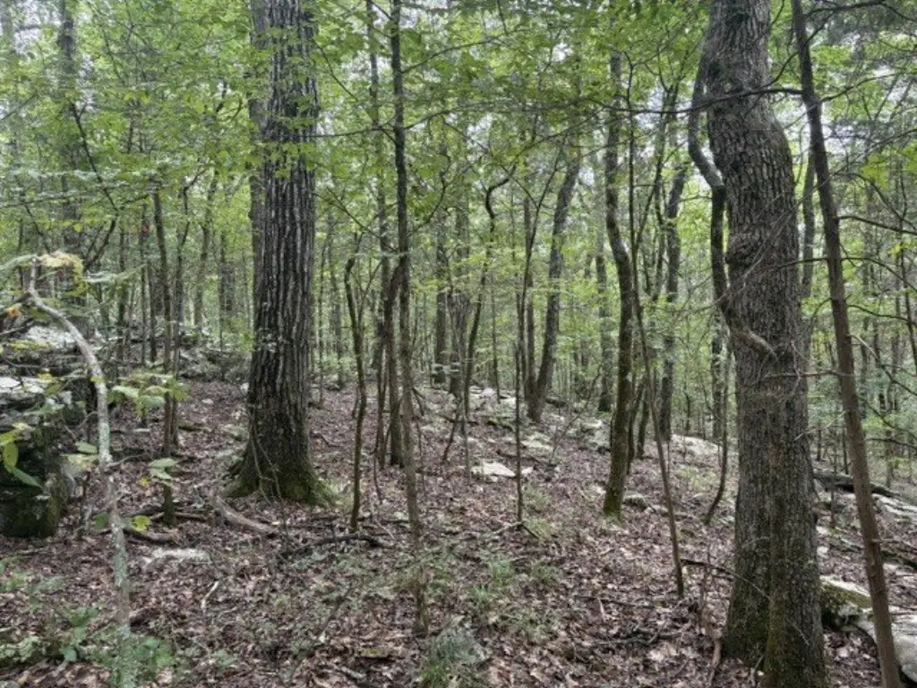Picture 22