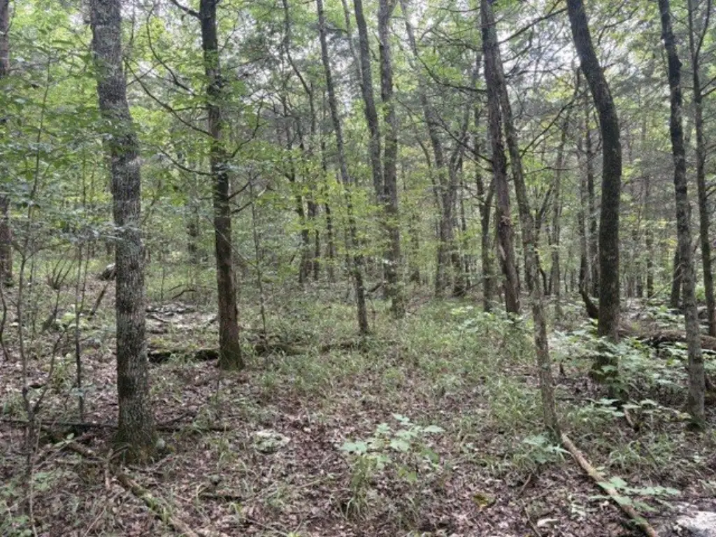 Picture 25