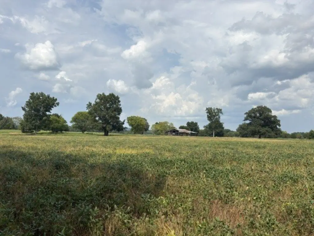 Picture 21