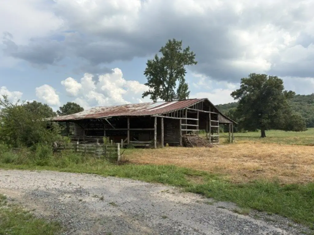 Picture 19