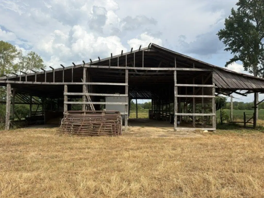 Picture 7