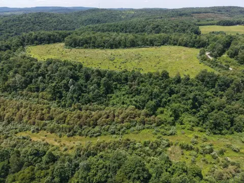 Hunting Land with Game Lands Access