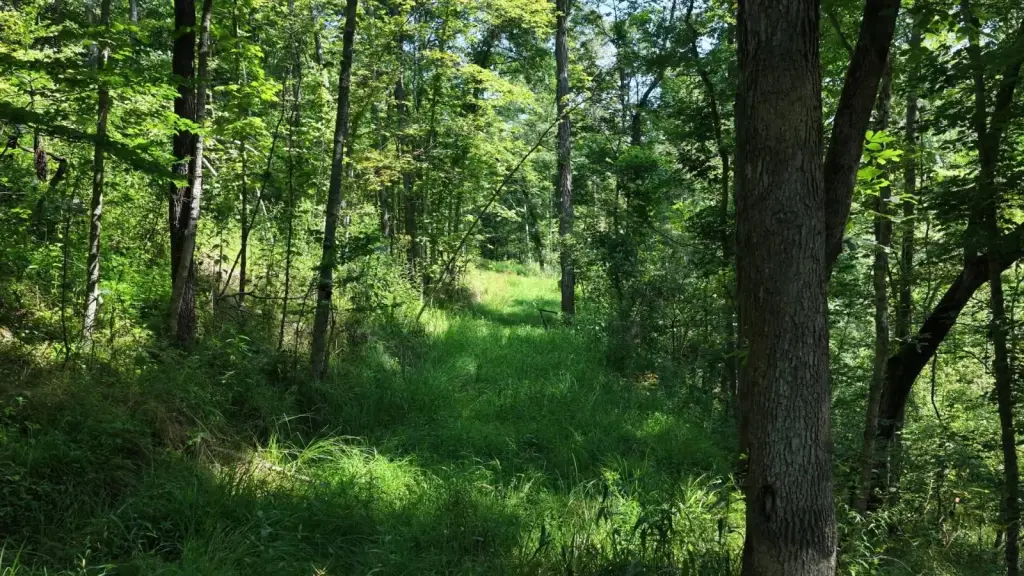 Picture 19