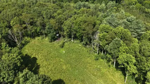 Wooded Hunting Land with Creek