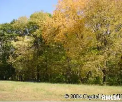 Residential Land in Petersburg, Illinois