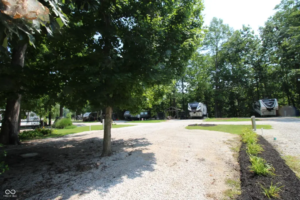 Picture 5
